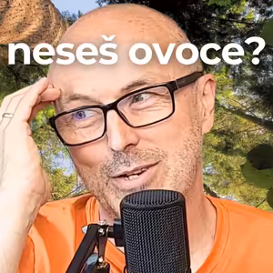 Život člověka jako růst a zrání stromu