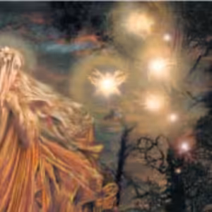 Vzkazy přírody 3 - Stromovníci