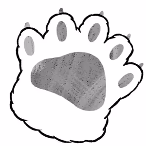 Vnímání umění v 21. století