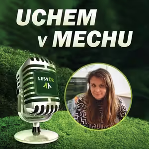 „Minulý rok jsme měli 208 adjunktů. Jsem zvědavá, jestli to letos překonáme,“ říká personalistka Matějíčková