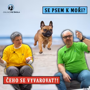 #36 Se psem k moři?