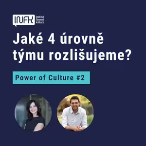 Jaké 4 úrovně týmu rozlišujeme?
