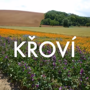 S0E09 - Zuzana Skřivanová: zastupitelka malé obce a projektantka pozemkových úprav