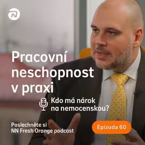 Pracovní neschopnost v praxi