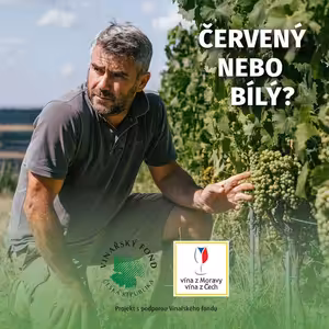 037: Jaromír Gala o světových vínech, prvním Pinotu a respektu ke krajině