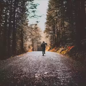 Vlastní posun a zvyky