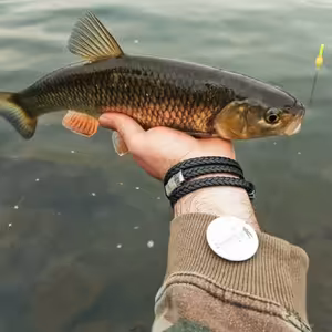 Užitečné tipy pro lov na plavanou