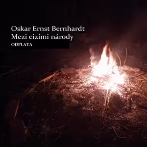 Mezi cizími národy - XVI - Odplata