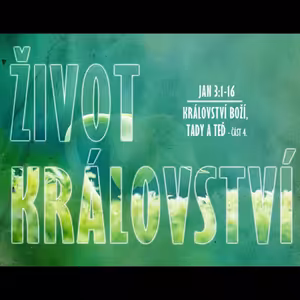 Království Boží, tady a teď 4 - Život království - Bohuslav Wojnar (2.11.2014)