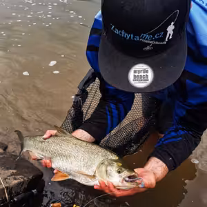 Jak na boleny a tlouště