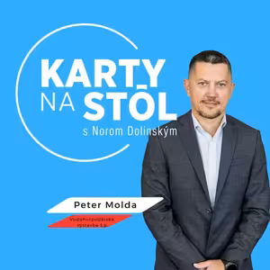 Peter Molda: Turbíny v Gabčíkove musíme vymeniť
