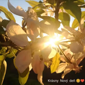 1.deň meditačnej výzvy na tému HOJNOSŤ