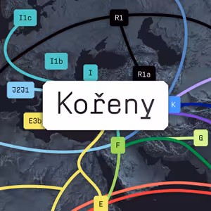 Kořeny