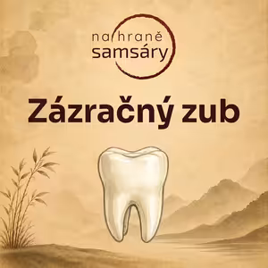 16. Zázračný zub