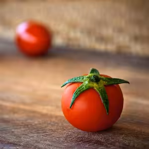 Úplně obyčejní sousedé