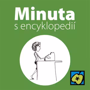 Automatické počítací stroje