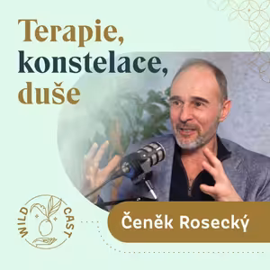 Jak zvládnout partnerské výzvy a růst - Čeněk Rosecký