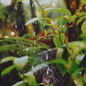 Prečo si Božiu milosť nemusíš kupovať? (14.12.2025)