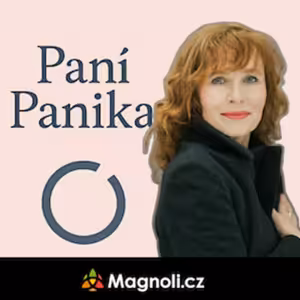 Paní Panika: 2. O (bez)naději: Nevidíte, madam, že vám blikají kontrolky aneb Začátek proměny řidiče v neřidiče