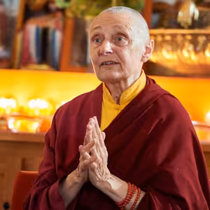 Co je cílem praxe buddhismu? Klidnější mysl a nebo něco jiného? - Džecünma Tändzin Palmo