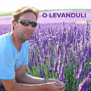 O levanduli