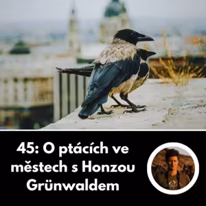 45: O ptácích ve městech s Honzou Grünwaldem