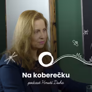 #56: Je síť připravena na boom obnovitelných zdrojů?