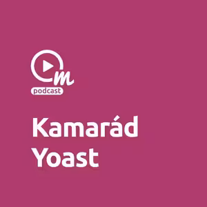 Yoast doplněk ocení každý Wordpressák