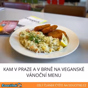 Kam v Praze a v Brně na veganské vánoční menu?