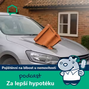 161. Pojistka na blbost u nemovitostí