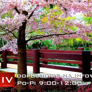 Dopoludnie na Infovojne s Adrianom 7.5.2025