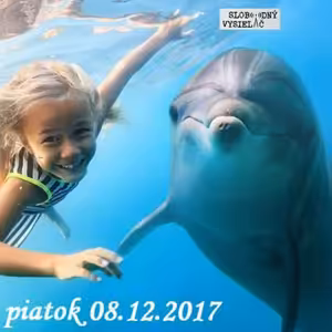 Riešenia a alternatívy 48 - 2017-12-08 "Delfínoterapia"