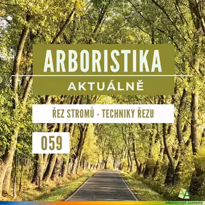 Řez stromů - Techniky řezu - Arboristika aktuálně #059