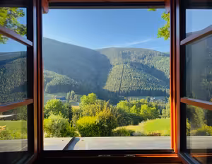 Zprávy z lesa #97 🍿