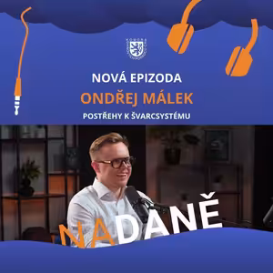 Ondřej Málek - Švarcsystém a daně: Proč kontroly neodstraní příčinu?