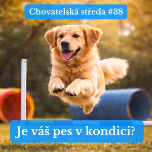 🐕 Je váš PES v KONDICI? 🐕 | Chovatelská středa #38