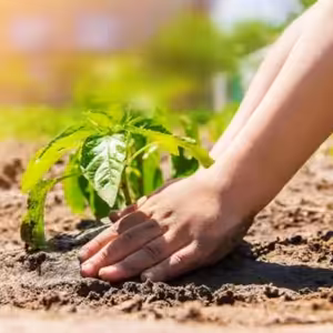 Podílet se na růstu Božího království