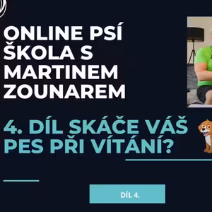 #4 Skáče váš pes při vítání