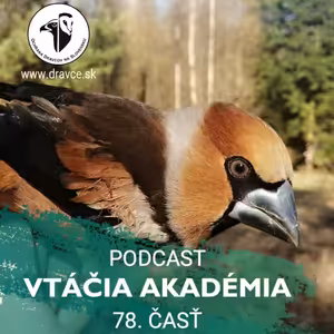 Mohli sme mať stehlíka gegetku a nie čečetku