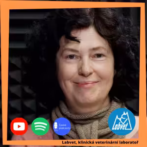 Když slinivka špatně pracuje