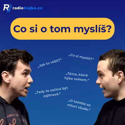 Co si o tom myslíš?