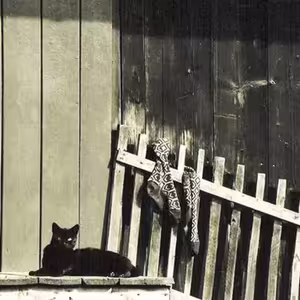 Víkend u babky (Weekend at the Grandma)