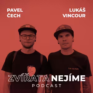 Pavel Čech, Lukáš Vincour: Cesta na turecké hranice za transporty se zvířaty