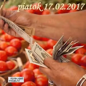 Riešenia a alternatívy 07 - 2017-02-17 Lokálne meny