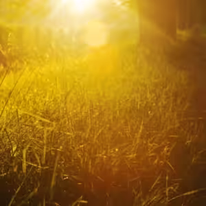 Nechejme Bohu svobodu v našich modlitbách