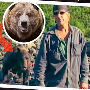 ÚTOK MEDVĚDA ZACHYCEN NA KAMERU! #NocniMura