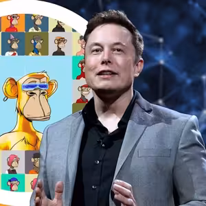 Proč jsem prodal kryptoměny? 💱 | Koupil si Elon Musk opici? 🐵 | BIP 119 📃 - CEx 05/05/2022