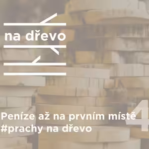 PENÍZE AŽ NA PRVNÍM MÍSTĚ #prachynadrevo #4