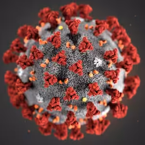 RYCHLOVKA - Koronavirus - tělocvik a Wi-Fi