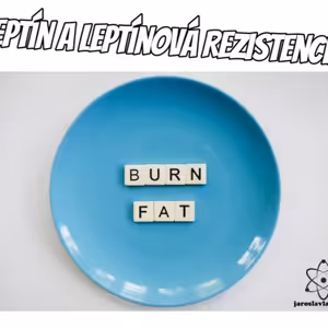 Epigenetika #6 Leptín ako Fotoreceptor a Leptínová Rezistencia